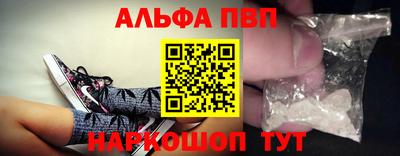 амф Кингисепп