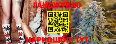 амф Кингисепп