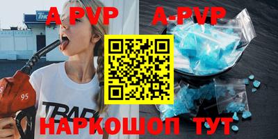 амф Кингисепп