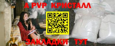 амф Кингисепп