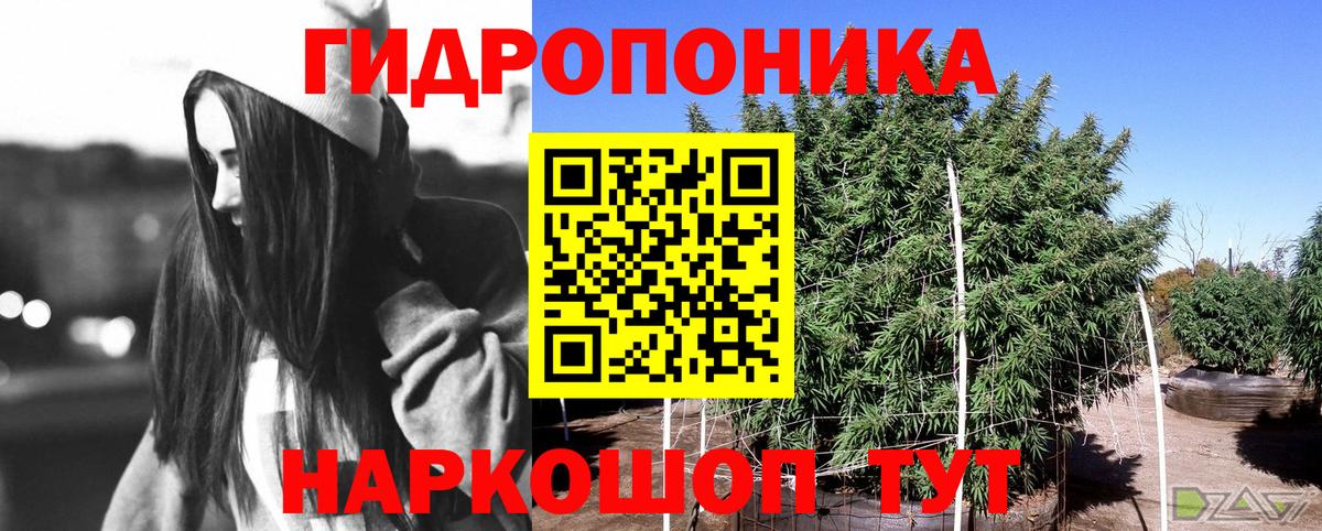 Конопля планчик  Шишки марихуана планчик  Марихуана VHQ  Лесной  Вход с VPN 